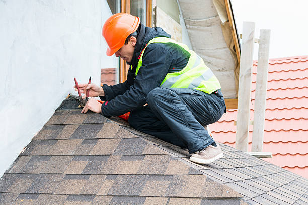 Best Sealant for Roof  in Meridian, CO
